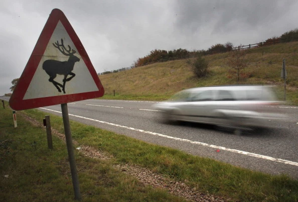 Exmoor Rocked By Killing Of Their Famous Stag