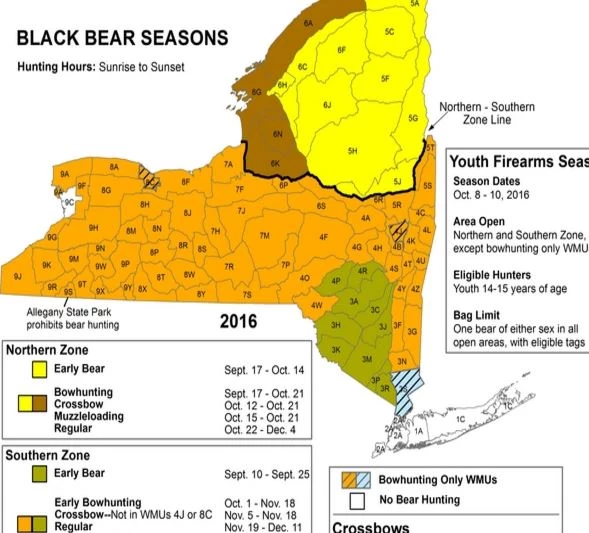 Bear Hunting Season In New York State