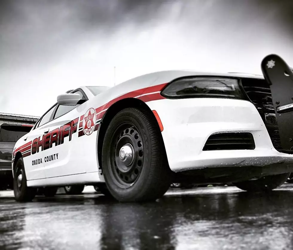 Vehicle Crashes Head-On Into A Tree In Bridgewater Because Of A Bee