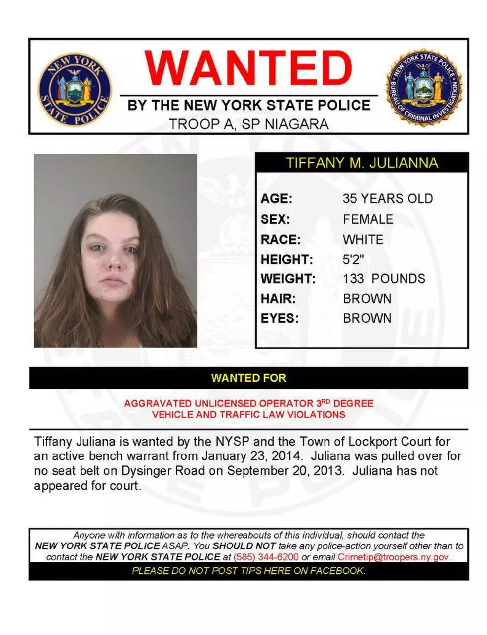 New York State Police Photo