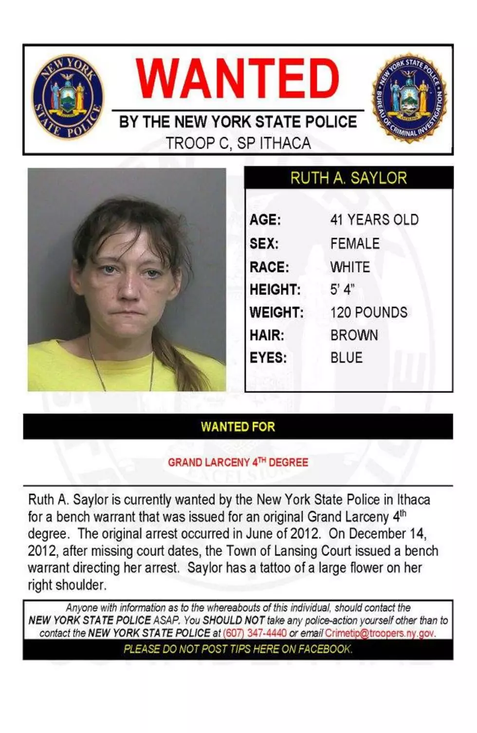 New York State Police Photo