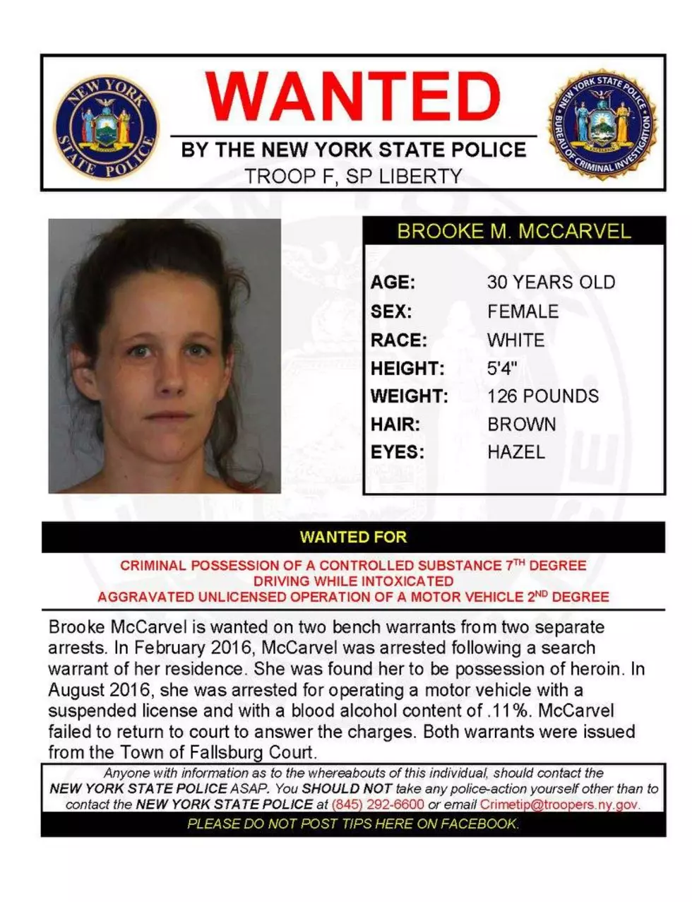 New York State Police Photo