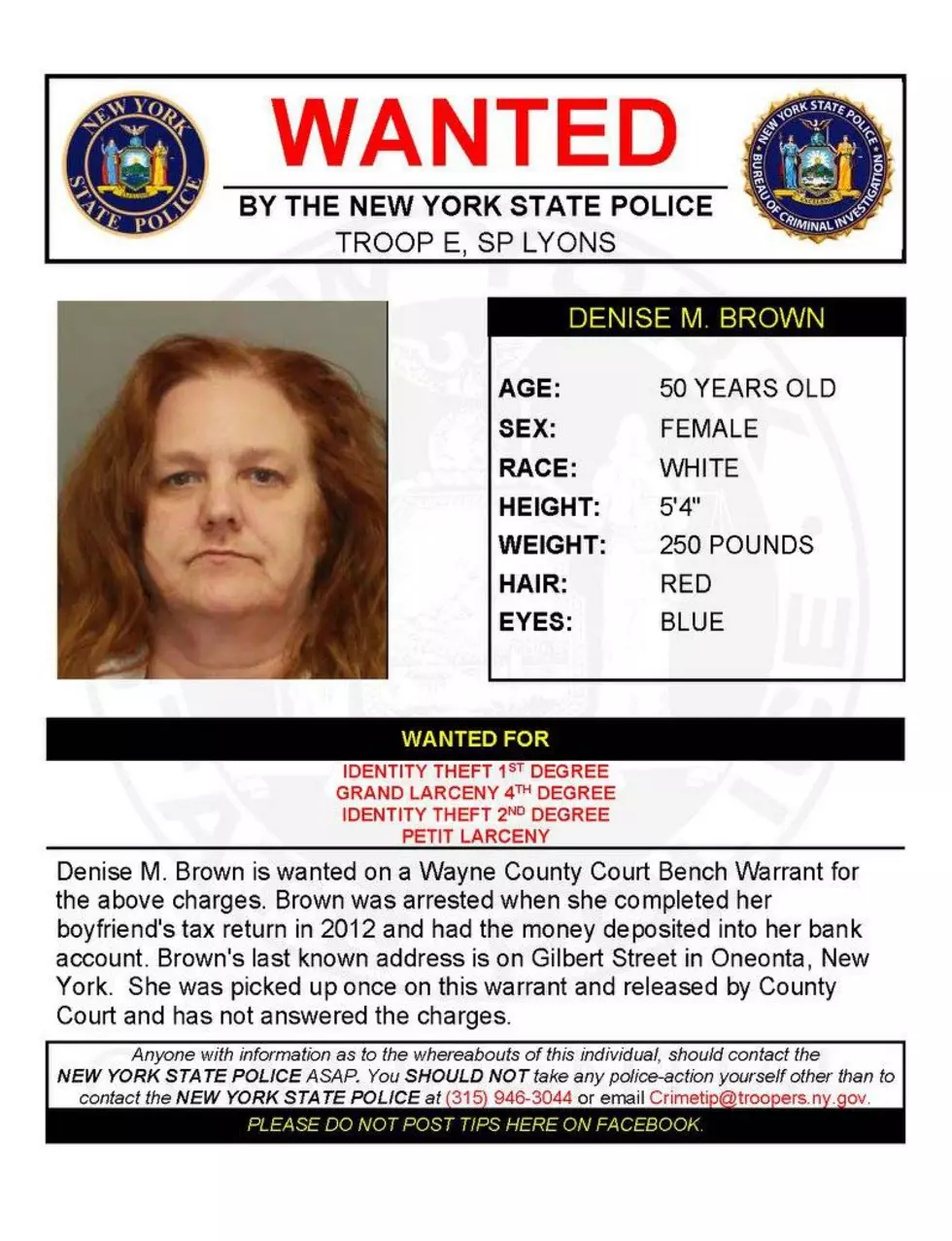 New York State Police Photo