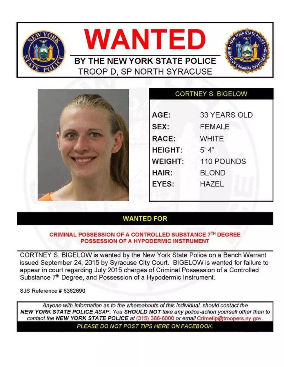 New York State Police Photo