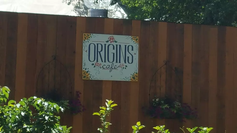 This Cafe Only Serves Organic Food From CNY Farmers