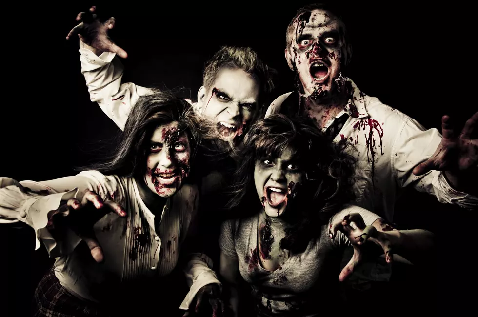 The Vegan Zombie to Film In Syracuse