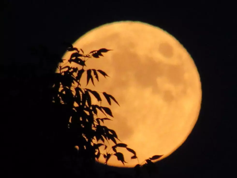5 Nicknames For The August Full Moon